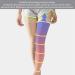 Compression Socks 30-40 mmHg | Easy On Varicose Vein Relief & Recovery | Ideal for Travel & Cycling - Available in Flesh & Black - Buy Online on GoSupps.com