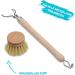 Chinchilla 4-Set Change Heads for Wash Brush | Vegan Natural Bristle Replacement Heads | Universal Flush Brush Heads | Sustainable Zero Waste Kitchen Solutions - Buy Online on GoSupps.com
