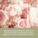 Baylis & Harding Royale Garden Rose Poppy & Vanilla Luxury Hand Treats Gift Set - Vegan Friendly - Buy Online on GoSupps.com