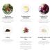 CARROT & STICK The Moisturizer - Antioxidant Skin Moisturizer with Plant Proteins, Vitamins, Peptides - 1oz - Buy Online on GoSupps.com