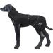 Rukka Pets HAYTON ECO Raincoat for Dogs - Black 25 | Waterproof & Eco-Friendly Dog Apparel - Buy Online on GoSupps.com