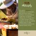 ONEROOT Canadian Raw Buckwheat Honey | Higher in Antioxidants Than Manuka (1 kg) 1 kg (Pack of 1) - Buy Online on GoSupps.com