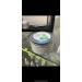 Buy Bahama Mama Face & Body Cream | Hydrating Skincare for All Skin Types - Fast International Shipping - Buy Online on GoSupps.com