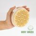 AIFEIVICO Wood Therapy Massage Tools & Dry Brush 2 Kit for Anti Cellulite Lymphatic Drainage | Body Brush, Massage Paddle, Gua Sha | Maderotherapy Set - Buy Online on GoSupps.com