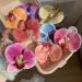 hgnxa Elegant Flower Hair Clip Unique Hair Barrettes Large Flower Acrylic Hair Clip Chic Hairpin for Weddings and Parties - Buy Online on GoSupps.com