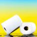 Renova MAX ABSORPTION EXTRA XXL Paper Towel - Large White | Durable & Highly Absorbent | International Shipping - Buy Online on GoSupps.com