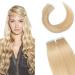 SEGO TAPE in Extensions real hair 20 Tressen 50g hair extension glue hair part remy hair (+10pcs free tapes) 18 "(45cm) medium blonde#24