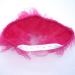 Aivtalk Dog Tutu Dress & Cat Costume | Festive Solid Color Tulle Skirt for Small Pets - Rose Red - Buy Online on GoSupps.com