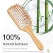 Antistatic Bamboo Paddle Hairbrush - Wooden Bristle Brush for Men Women & Kids - Frizz Control & Scalp Massage - Buy Online on GoSupps.com