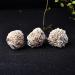 Natural Moroccan Desert Rose Stone Crystal Specimen Rough Sample Ornamental Collection Quartz Fo Home Decoration Stone Collection 1PC Light Grey - Buy Online on GoSupps.com