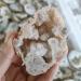 Natural Magic 2pcs 4-5cm Natural Agate geode Crystal Geode s and Crystals Gifts Quartz Crystal - Buy Online on GoSupps.com