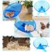 Hamster Wheel Silent Exercise Wheel Plastic Running Wheel for Hamsters Gerbils Hedgehogs and Squirrels - Buy Online on GoSupps.com