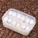 Cosiki Transparent Durable Professional Lizards Reptile Incubation Box Reptile Hatchery Box Reptile Tank Reptile Breeding Box for Hatching Gecko Lizard - Buy Online on GoSupps.com