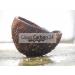 1 Liter Activated Carbon Granules from Coconut Shells for Water Treatment | Energy Class A (0.6-2.36mm / 8x30 Mesh) - Buy Online on GoSupps.com