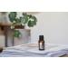 doTERRA Purify Essential Oil Cleansing Blend - 15 ml Purify 0.5 Fl Oz (Pack of 1) - Buy Online on GoSupps.com