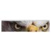 Portrait of A Bald Eagle Resistance Bands for Working Out Non-slip Legs Booty Yoga Straps Physical Therapy Aids