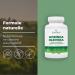 Bandini Moringa Oleifera Compl ment naturel riche en Prot ines Acides Amin s Vitamines et Min raux Superfood pour l' nergie et le bien- tre 90 capsules v g taliennes pour un mois - Sans OGM - Buy Online on GoSupps.com