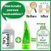 BioRLX 99% Purity Aloe Vera Gel with Collagen and Hyaluronic Acid - 8.5 fl.oz | Moisturizer for Face, Body, Hair | After-Sun & Aftershave Solution - Buy Online on GoSupps.com