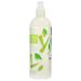 365 by Whole Foods Market Lotion Maximum Moisture Aloe & White Tea 16 Ounce Aloe & White Tea 16 Fl Oz (Pack of 1) - Buy Online on GoSupps.com