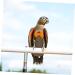 PopetPop 5-Pack Flying Bird Diapers - Parrot & Nymphensittich Flight Suits | Neoprene Bird Clothing for Pets | Best International Shipping - Buy Online on GoSupps.com