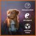 Wildfang Leather Chew for Dogs & Puppies | Naturally Tanned Soft 5mm Thick | Ideal Chewing Bone for Pets Up to 15 kg - 17 cm - Buy Online on GoSupps.com
