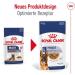 Royal Canin Maxi Ageing 8+ | Pack of 4 | 4 x 10 x 140 g | Complete Food for Dogs | for Large Older and Senior Dogs (26 to 44 kg) | From 5 Years - Buy Online on GoSupps.com
