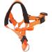 Dog Handlebars with Seat Belt - XL Orange Pet Halter for Safe Outdoor Walking | Prevent Pulling - Buy Online on GoSupps.com