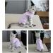 YouLhamy Katzenbody - Post-Op Recovery Suit for Cats | Anti-Lick Wound Protection | Purple Size S - Buy Online on GoSupps.com