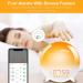 Ghustar Lichtwecker Wake Up Light - Daylight Alarm Clock with Sunrise & Sunset 7 Colors 2 Alarms 7 Natural Sounds FM Radio 20 Brightness Levels Ideal LED Night Light for Adults - Buy Online on GoSupps.com
