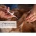 LabAider Disposable Insulin Syringe 1ml Syringes with 30Ga 5/16in Needle Individually Wrapped 100 Count - Buy Online on GoSupps.com