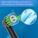 16-Pack Compatible Brown Oral-B Electric Toothbrush Precision Clean Replacement Brush Heads - Professional Quality - Buy Online on GoSupps.com