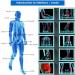 Professional Extracorporeal Shock Wave Therapy Device for ED | Pain Relief Massager for Body Percussion Muscle Relaxation - Buy Online on GoSupps.com