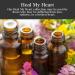Heal My Heart Oil 1/2 oz - Heartache Healing & Letting Go Ritual - Wiccan Hoodoo Spirituality Conjure Oil for Intentions - Buy Online on GoSupps.com
