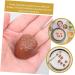 HOMSFOU 24 Pcs Simulation Chocolate Decorative Chocolate Decor Fake Candy Cake Decorating Fake Cookies Kids Bulk for Desserts Desktop Fake Chocolate Artificial Children's Products Pvc 3d Coffeex4pcs 3.9X2.8X1.8CMx4pcs - Buy Online on GoSupps.com