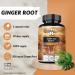 Ginger Root 500 mg Extract contains 5% Gingerols 90 Vegan Capsules 3 Months Supply Ginger Herbal Supplements for Digestive Comfort and Immune Support - by Apollo's Hegemony - Buy Online on GoSupps.com