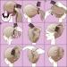 Kalsfisuia 4 Pieces French Style Hairpin Quick Braided Hairpin Insert Hair Clip Vintage Twist Styling Tools Hair Accessories - Buy Online on GoSupps.com