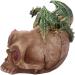 Nemesis Now Crystalline Cranium 15.7cm Pink - Unique and Stunning Home Decor Piece - Buy Online on GoSupps.com
