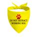 1 piece Stop Dot Not Pet/Stop No Touch No Talk/Stop Do Not Distract dog bandana (do not distract)