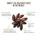 Barukas 12 oz - The Healthiest Nuts in the World (Salted) - Sea Salt 12 Ounce - Buy Online on GoSupps.com