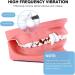 Dog Teeth Cleaning Tools with LED Light 3 Modes Dog Plaque Tartar Remover for Teeth Detachable Teeth Cleaning Kit for Dogs Cats Grey - Buy Online on GoSupps.com