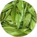 GOARTEA Th Vert - 500g (17.6 Oz) Supreme Anji An ji Bai Pian White Slice Loose Spring Leaf Chinese GREEN TEA VERT - Buy Online on GoSupps.com