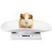 Nachukan Digital Pet Weight Scale - 10kg/1g Measure Tool for Cats Dogs Puppies and Small Animals - Electronic Kitchen Scale - Buy Online on GoSupps.com