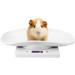 Digital Puppy Scale 10kg 1g Small Pet Weight Scale for Cats Dogs Measure Tool Electronic Kitchen Scale - Buy Online on GoSupps.com