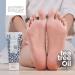 Foot Care Duo for Dry Feet and Cracked Heels - Moisturizing Cream and Heel Repair - Antifungal Formula for Soft, Smooth Skin - Buy Online on GoSupps.com