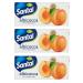 Parmalat Santal Albicocca Set of 3 apricot juice 3 x 200 ml