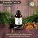 Propolis Drops Without Alcohol - 10% Extract for Children Pets & Adults - 30ml from German Beekeeper | Natural Health Supplement - Buy Online on GoSupps.com