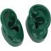Water-Resistant Silicone Simulated Ear Model Pair for Acupuncture in Hospitals (Green) - Buy Online on GoSupps.com