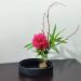 Gdstiac 3pcs Flower Frog Round Flower Arranger Frog Flower Fixed Tools Japanese Flower Holder Flower Frogs for Arrangements (0.91 Inch  1.34 Inch  2.36 Inch) - Buy Online on GoSupps.com