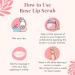 Rose Lip Scrub - Exfoliate & Moisten for Soft Pink Lips | 15g | Shop Internationally - Buy Online on GoSupps.com