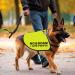 No Dogs/No People Dog Jacket Vest Give Me Space Walking Slogan Warning Vest (No dogs Large) No dogs L EU - Buy Online on GoSupps.com